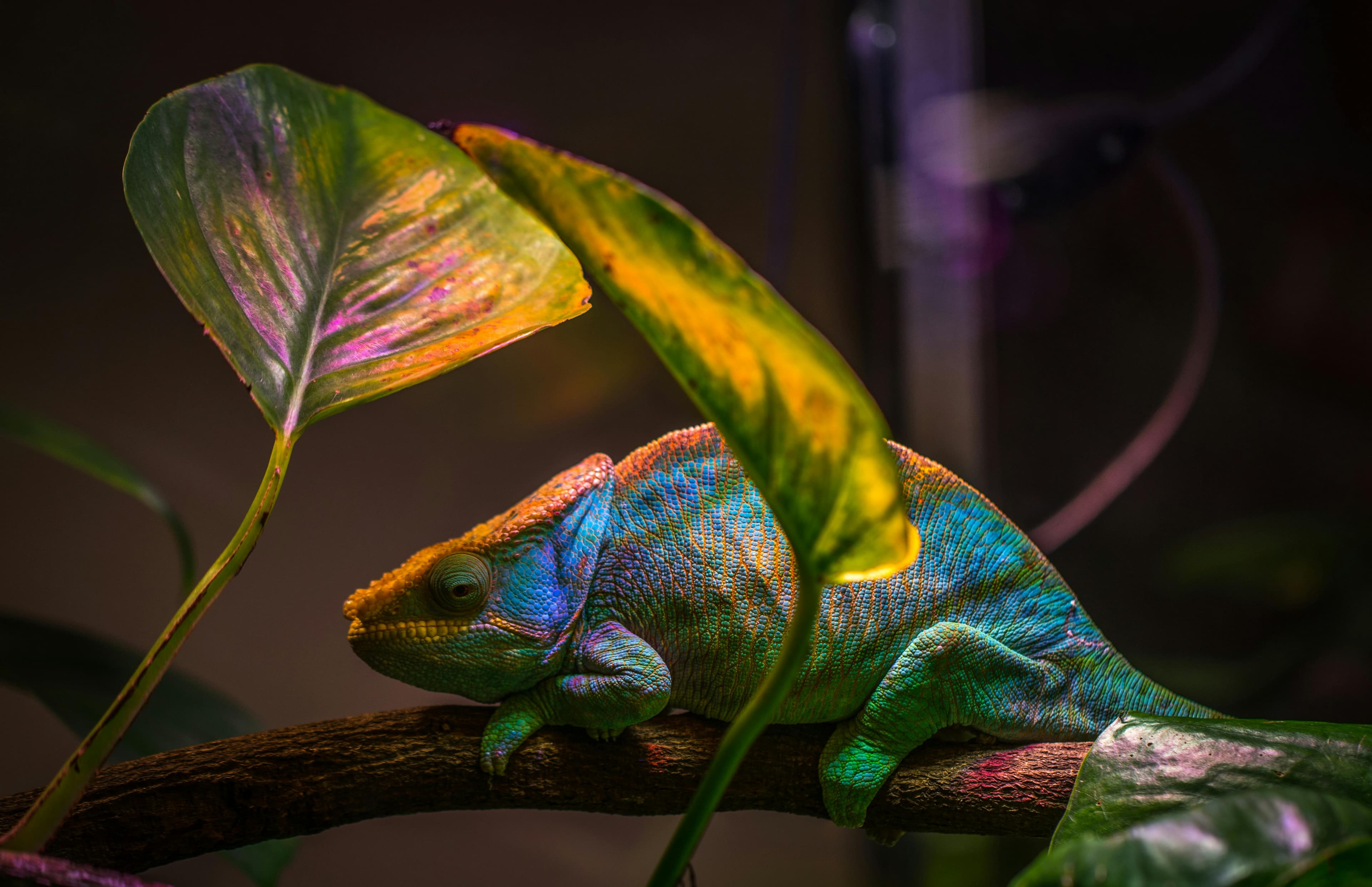 Image by Egor Kamelev from Pexels.jpg