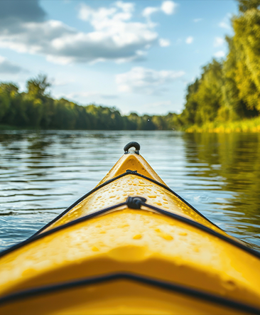 Navigating Business Strategy