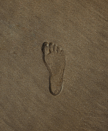 Understanding the Behavioural Theory That’s Shaping Modern Leadership