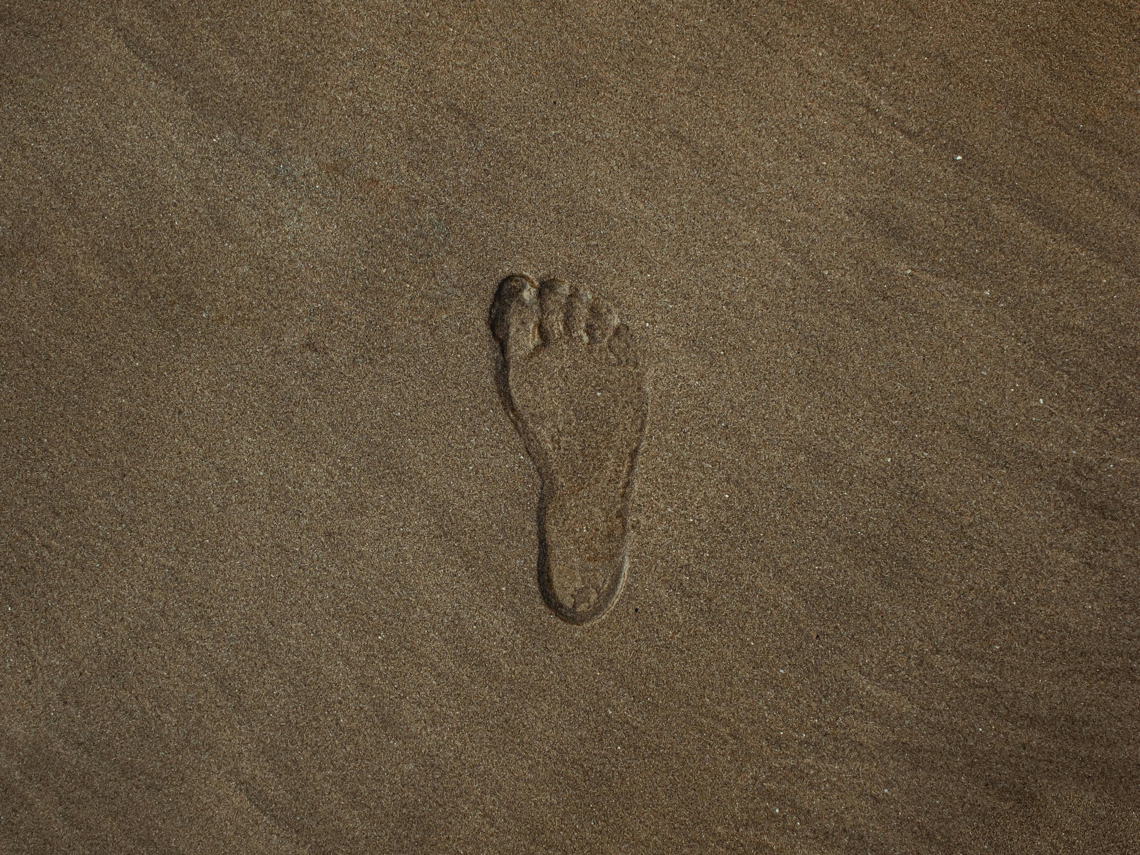 Image Credit Hemz from Pexels.jpg